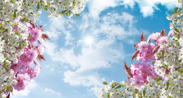 Bottom-up view of sunny sky, spring flowers and  flying birds. 3d Stretch ceiling sky model.