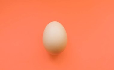 Sarı yumurta arka planda izole edilmiş. Çiğ, organik ve taze tavuk yumurtaları..