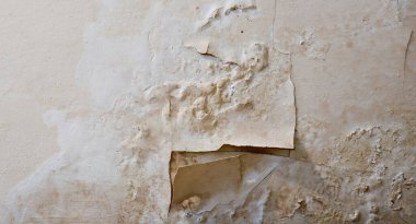 İç tavan sıvası ve boyası rutubet ve nem nedeniyle aşınmış.