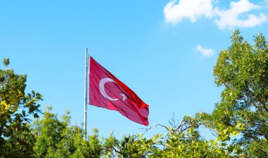 Ağaçlar arasında bayrak direğinde dalgalanan Türk bayrağı