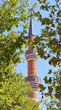 Yeşil yapraklar arasında görünen tarihi cami minaresi..