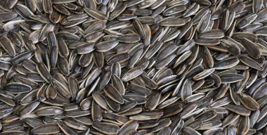 Kavrulmuş ayçiçeği çekirdeği. Lezzetli ve besleyici çerez.