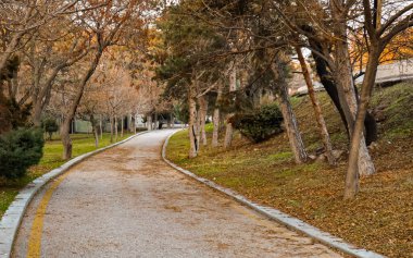 Sonbahar mevsiminde halk parkında yürüyüş ve çevre ağaçlar