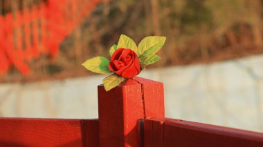 Göl kenarındaki ahşap kırmızı çitin üzerinde tek kırmızı gül..