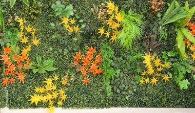 Yaprak arkaplan. Sarı, turuncu ve yeşil yapay bitki yaprakları duvarı kaplıyor..