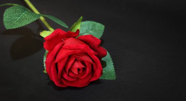 Siyah arkaplanda yapay kırmızı bir gül. Aşk, romantizm ve tutku konsepti arka plan fotoğrafı.