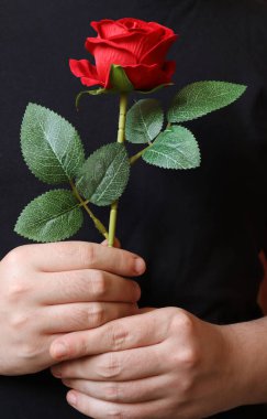 Siyah tişört giyen bir adam iki eliyle kırmızı bir gül tutuyor..