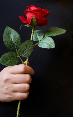 Bir adamın eli tek bir kırmızı gül tutuyor. Aşk, aşk ve bir sevgili için sürpriz bir hediye. Çiçekleri takdim ediyorum..
