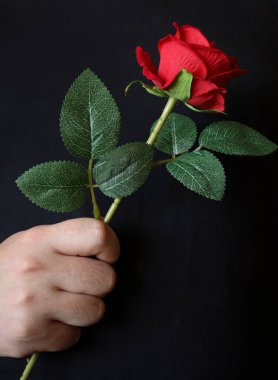 Siyah arka planda tek bir kırmızı gül tutan erkek el. Romantizm ve aşk kavramı arkaplan resmi.