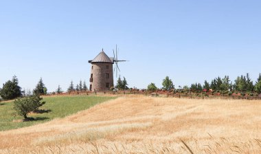 Köyün kırsal kesimindeki bir tepede yel değirmeni ve buğday tarlası. Tarım arazisi ve kırsal alan.
