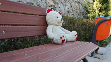 Yanlız beyaz bir ayıcığın yan görünüşü Bir çöp kutusunun yanındaki bankta oturuyor.