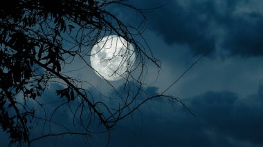 Dolunaylı koyu mavi gökyüzü ve gece yarısı ağaç dallarının arkasındaki bulutlar..
