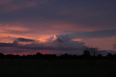 Güzel bir öğleden sonra gökyüzü ve bulut beyazı. Yüksek kalite fotoğraf