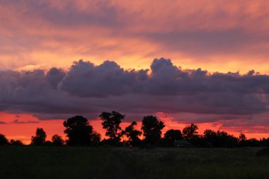 Güzel renkli gökyüzü. Kızıl gökyüzü, pembe gökyüzü, serin bulutlar, günbatımı. Yüksek kalite fotoğraf. Gün batımında ağaçların gölgeleri