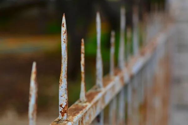 Demir Bahçe Işlenmiş Sahte Çelikten Yapılmış Metal Çitler Kapat — Stok fotoğraf