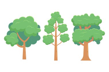 Ağaç varyasyonlu ağaç illüstrasyon tasarımı