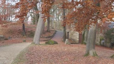 Regensburg, Almanya: Ağaçlardan düşen sonbahar yaprakları
