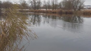 Regensburg, Almanya: Göl kenarındaki kış manzarası