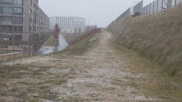 Regensburg Alemanha Primeira Queda Neve Caminhando Uma Estrada Pedonal — Vídeo de Stock