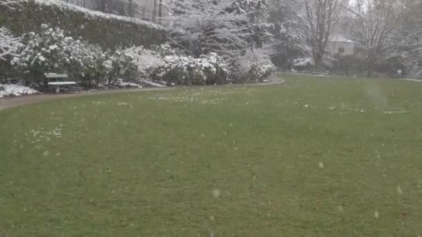 公园里下着雪 — 图库视频影像