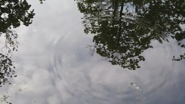 雨滴落在水里 树木倒映在湖里 — 图库视频影像