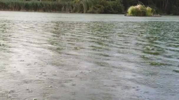 德国雷根斯堡 雨滴落进河里 — 图库视频影像