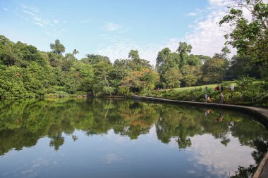 Central Kuğu Gölü, Göldeki Ağaç, Botanik Bahçesi Singapur