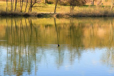 Sakin bir bahar sahnesi, çıplak ağaçlarla sakin bir göl ve suda güzel bir şekilde yansıyan berrak bir gökyüzü..