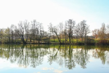 Sakin bir bahar sahnesi, çıplak ağaçlarla sakin bir göl ve suda güzel bir şekilde yansıyan berrak bir gökyüzü..
