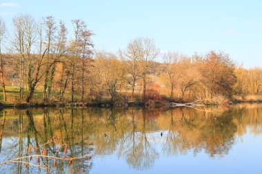 Sakin bir bahar sahnesi, çıplak ağaçlarla sakin bir göl ve suda güzel bir şekilde yansıyan berrak bir gökyüzü..