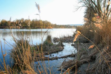 Sakin bir bahar sahnesi, çıplak ağaçlarla sakin bir göl ve suda güzel bir şekilde yansıyan berrak bir gökyüzü..