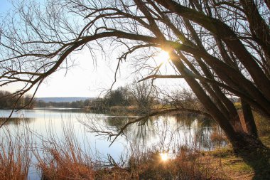 Sakin bir bahar sahnesi, çıplak ağaçlarla sakin bir göl ve suda güzel bir şekilde yansıyan berrak bir gökyüzü..