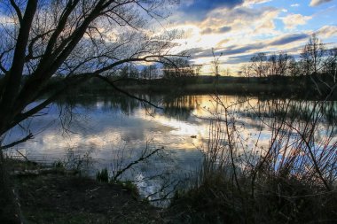 Sakin bir bahar sahnesi, çıplak ağaçlarla sakin bir göl ve suda güzel bir şekilde yansıyan berrak bir gökyüzü..
