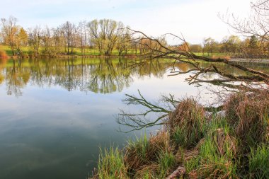 Sakin bir bahar sahnesi, çıplak ağaçlarla sakin bir göl ve suda güzel bir şekilde yansıyan berrak bir gökyüzü..