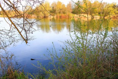 Sakin bir bahar sahnesi, çıplak ağaçlarla sakin bir göl ve suda güzel bir şekilde yansıyan berrak bir gökyüzü..