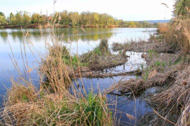 Sakin bir bahar sahnesi, çıplak ağaçlarla sakin bir göl ve suda güzel bir şekilde yansıyan berrak bir gökyüzü..