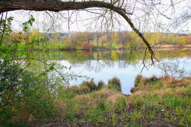 Sakin bir bahar sahnesi, çıplak ağaçlarla sakin bir göl ve suda güzel bir şekilde yansıyan berrak bir gökyüzü..