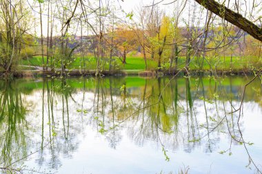 Sakin bir bahar sahnesi, çıplak ağaçlarla sakin bir göl ve suda güzel bir şekilde yansıyan berrak bir gökyüzü..