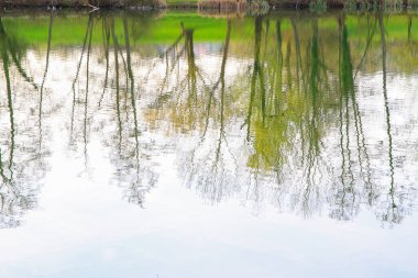 Sakin bir bahar sahnesi, çıplak ağaçlarla sakin bir göl ve suda güzel bir şekilde yansıyan berrak bir gökyüzü..