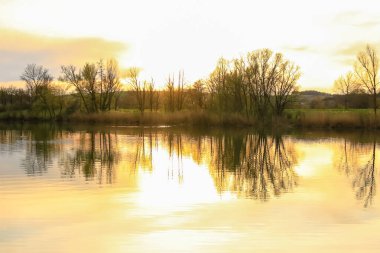 Sakin bir bahar sahnesi, çıplak ağaçlarla sakin bir göl ve suda güzel bir şekilde yansıyan berrak bir gökyüzü..