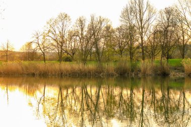 Sakin bir bahar sahnesi, çıplak ağaçlarla sakin bir göl ve suda güzel bir şekilde yansıyan berrak bir gökyüzü..