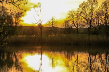 Sakin bir bahar sahnesi, çıplak ağaçlarla sakin bir göl ve suda güzel bir şekilde yansıyan berrak bir gökyüzü..