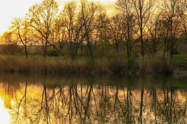 Sakin bir bahar sahnesi, çıplak ağaçlarla sakin bir göl ve suda güzel bir şekilde yansıyan berrak bir gökyüzü..