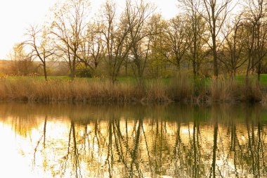 Sakin bir bahar sahnesi, çıplak ağaçlarla sakin bir göl ve suda güzel bir şekilde yansıyan berrak bir gökyüzü..