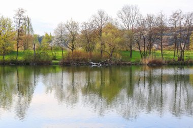 Sakin bir bahar sahnesi, çıplak ağaçlarla sakin bir göl ve suda güzel bir şekilde yansıyan berrak bir gökyüzü..