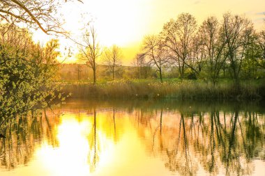 Sakin bir bahar sahnesi, çıplak ağaçlarla sakin bir göl ve suda güzel bir şekilde yansıyan berrak bir gökyüzü..