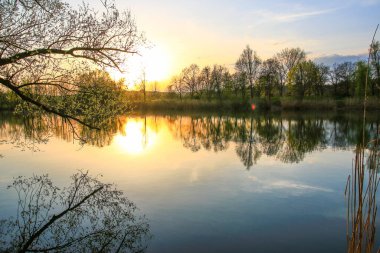 Sakin bir bahar sahnesi, çıplak ağaçlarla sakin bir göl ve suda güzel bir şekilde yansıyan berrak bir gökyüzü..