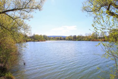 Sakin bir bahar sahnesi, çıplak ağaçlarla sakin bir göl ve suda güzel bir şekilde yansıyan berrak bir gökyüzü..