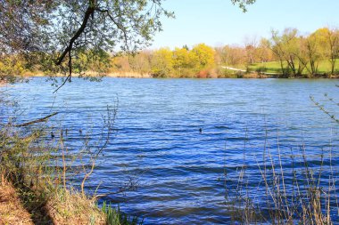 Sakin bir bahar sahnesi, çıplak ağaçlarla sakin bir göl ve suda güzel bir şekilde yansıyan berrak bir gökyüzü..