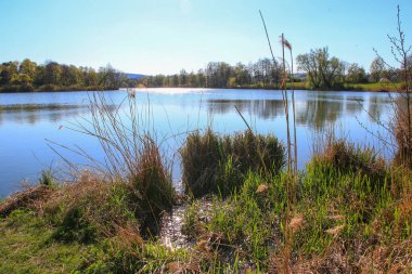 Sakin bir bahar sahnesi, çıplak ağaçlarla sakin bir göl ve suda güzel bir şekilde yansıyan berrak bir gökyüzü..